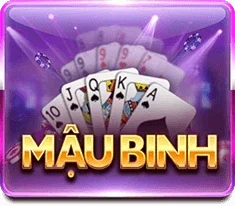 mau binh zowin